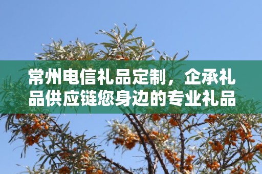 常州电信礼品定制，企承礼品供应链您身边的专业礼品定制公司